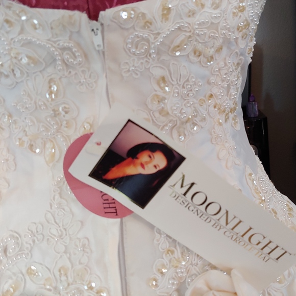 Moonlight Collection Wedding Dress By Carol Hai - Picture 3 of 8